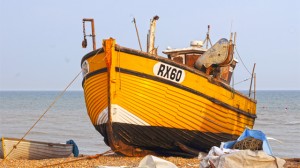 Hastings Harbour