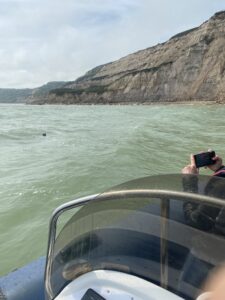 Seal tour Rye harbour